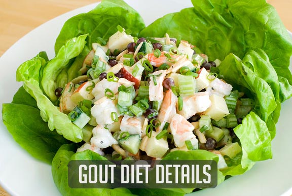Diet details for Gout