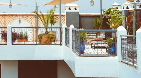 Gardening on a balcony or terrace