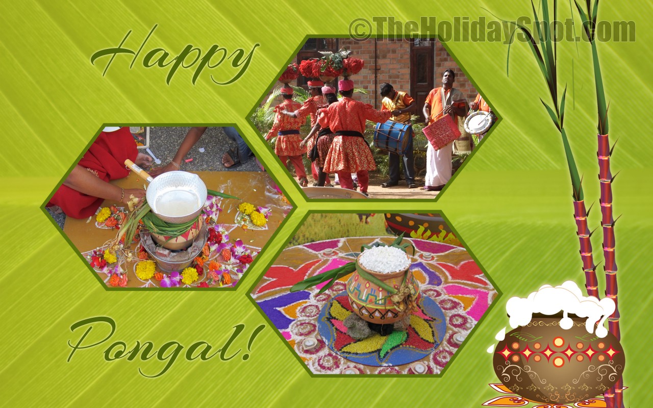 Pongal Wallpapers - Happy Pongal!