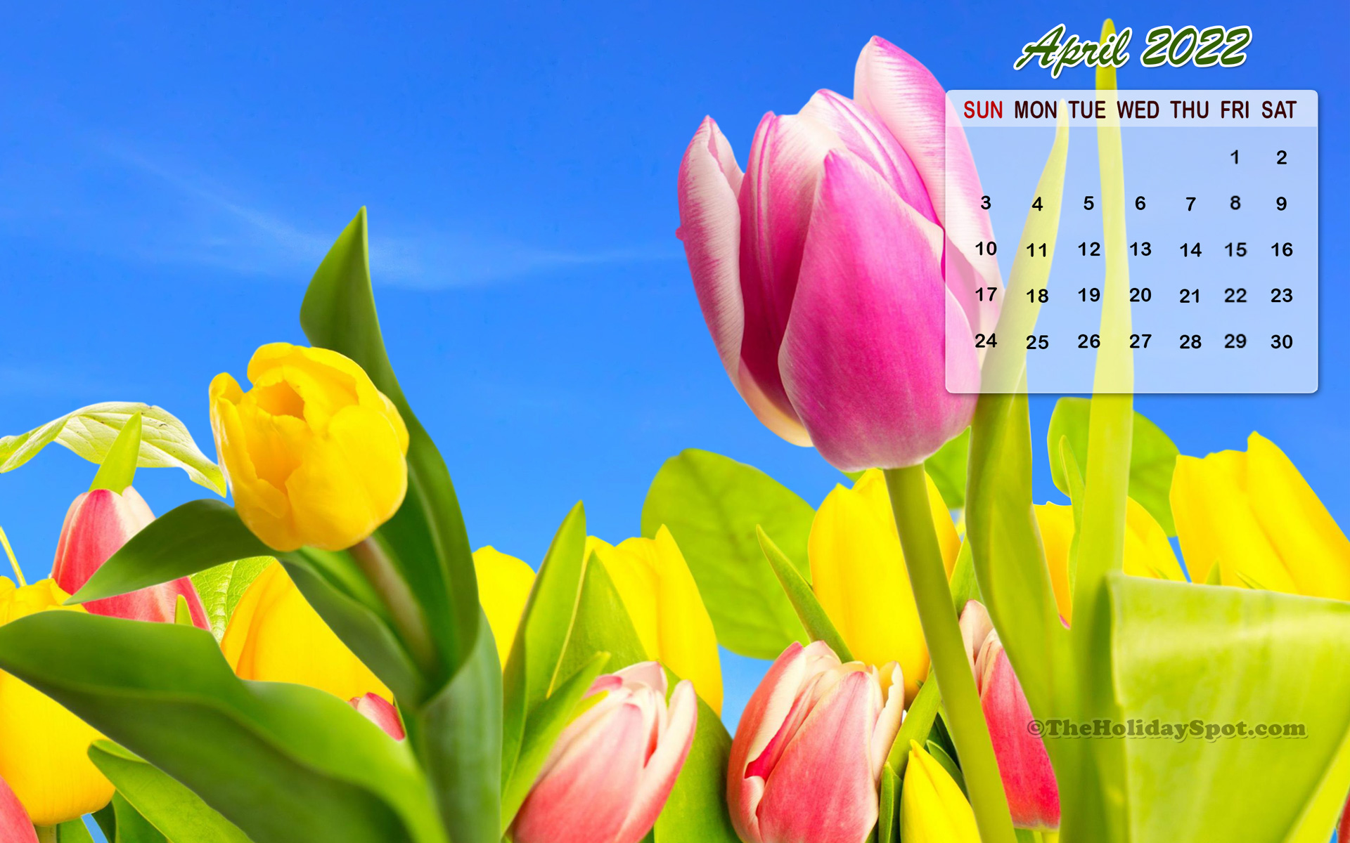 26 April 2022 calendar printable designs that are truly cute  Blush Bossing