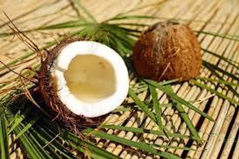Coconut-Based Business in Kerala: Guide To Opportunities, Uses, and Growth Potential